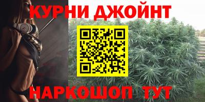 сатива Будённовск