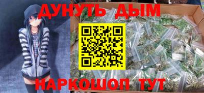 сатива Будённовск