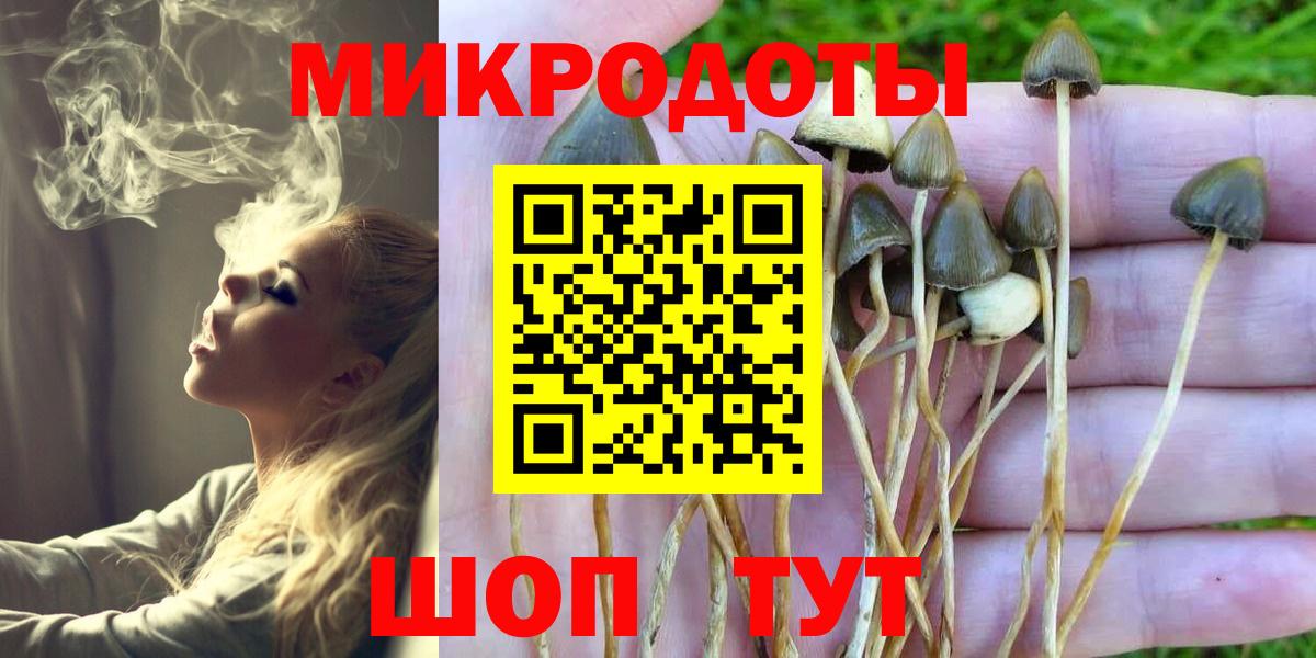 Луга  Галлюциногенные грибы Cubensis  Вход с VPN 