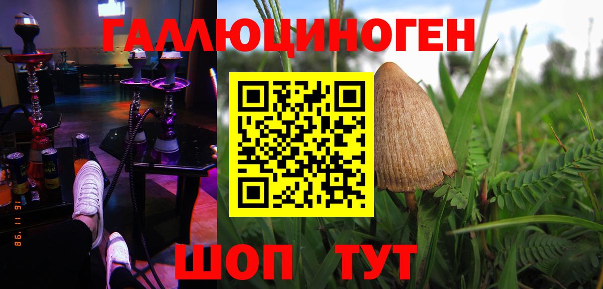 Псилоцибиновые грибы ЛСД Луга
